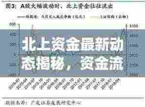 北上资金最新动态揭秘,资金流向排名及投资策略洞察