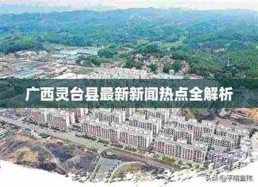 广西灵台县最新新闻热点全解析