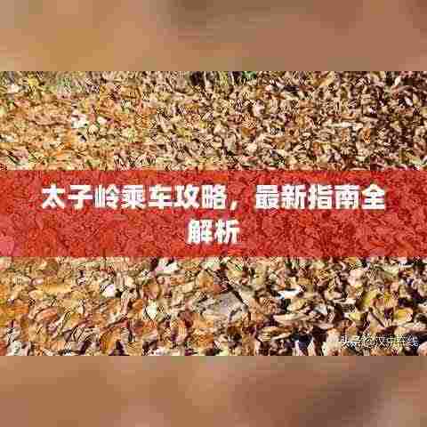 太子岭乘车攻略，最新指南全解析