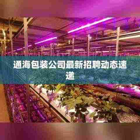 七上八下 第2页