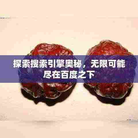 探索搜索引擎奥秘,无限可能尽在百度之下