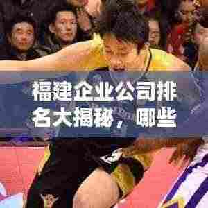 福建企业公司排名大揭秘，哪些企业成为行业翘楚？