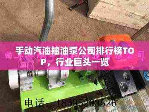 手动汽油抽油泵公司排行榜TOP，行业巨头一览
