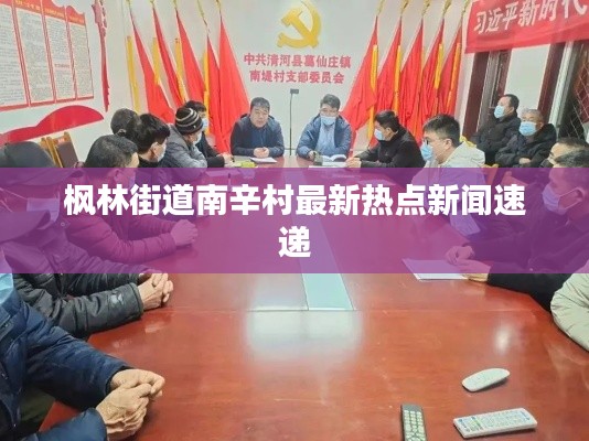 枫林街道南辛村最新热点新闻速递