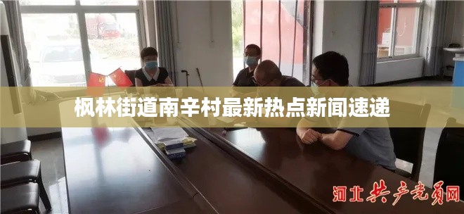 枫林街道南辛村最新热点新闻速递