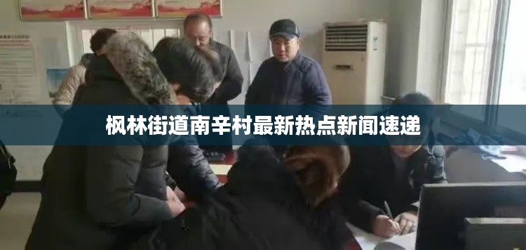枫林街道南辛村最新热点新闻速递