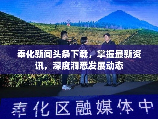 奉化新闻头条下载，掌握最新资讯，深度洞悉发展动态