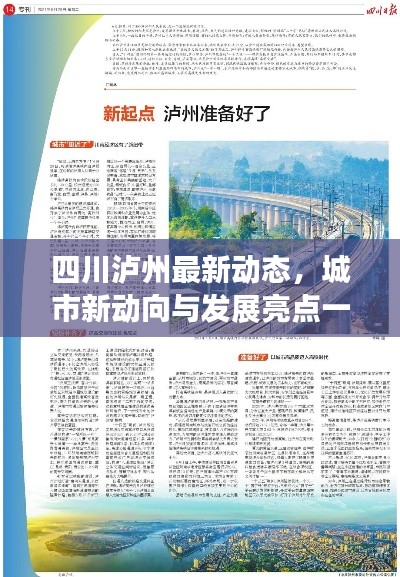四川泸州最新动态，城市新动向与发展亮点一网打尽