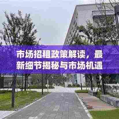 市场招租政策解读，最新细节揭秘与市场机遇展望