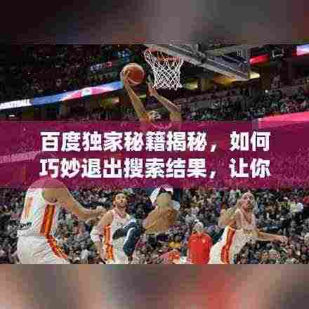 百度独家秘籍揭秘,如何巧妙退出搜索结果,让你不再困扰!