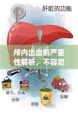 颅内出血的严重性解析，不容忽视的健康警示