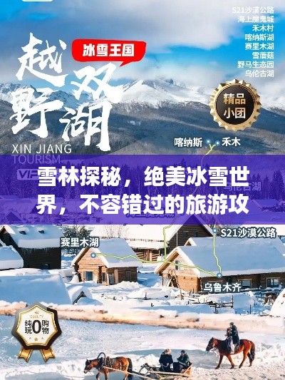 雪林探秘,绝美冰雪世界,不容错过的旅游攻略!