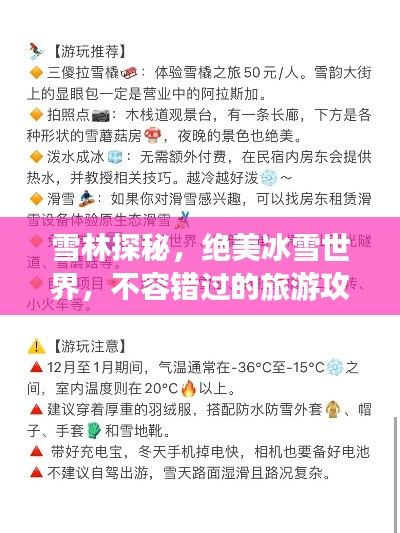 雪林探秘,绝美冰雪世界,不容错过的旅游攻略!