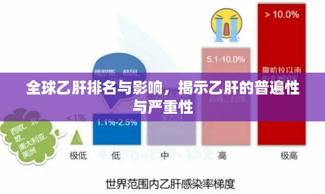 全球乙肝排名与影响，揭示乙肝的普遍性与严重性
