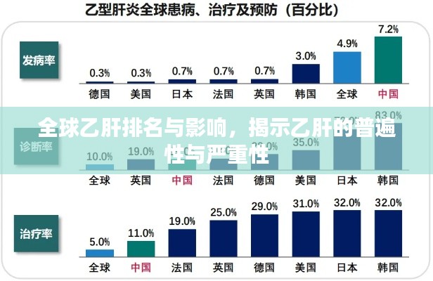 全球乙肝排名与影响,揭示乙肝的普遍性与严重性