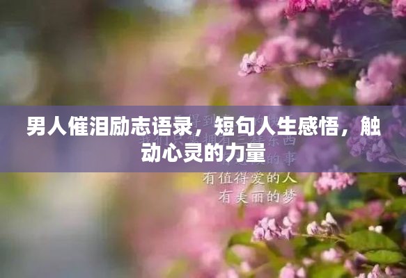 男人催泪励志语录,短句人生感悟,触动心灵的力量