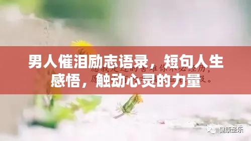 男人催泪励志语录,短句人生感悟,触动心灵的力量