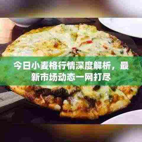 今日小麦格行情深度解析,最新市场动态一网打尽