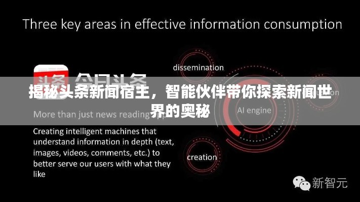 揭秘头条新闻宿主,智能伙伴带你探索新闻世界的奥秘