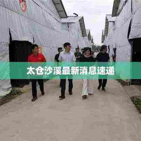 太仓沙溪最新消息速递