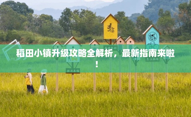 稻田小镇升级攻略全解析，最新指南来啦！