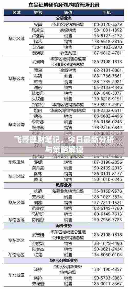 飞哥理财笔记,今日最新分析与策略解读