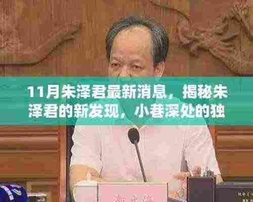 朱泽君最新发现，小巷深处的隐藏版特色小店揭秘