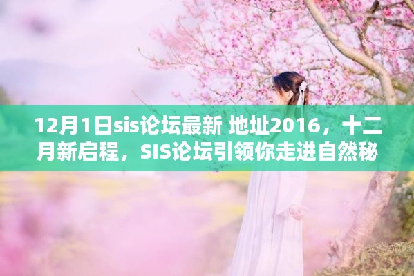 无冬无夏 第6页