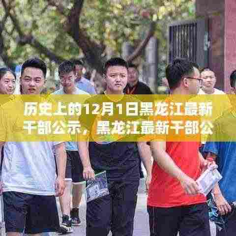 黑龙江最新干部公示指南，历史12月1日公示查询步骤详解（初学者与进阶用户适用）