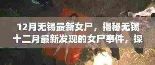 揭秘无锡最新女尸事件，探索未知的科学之旅