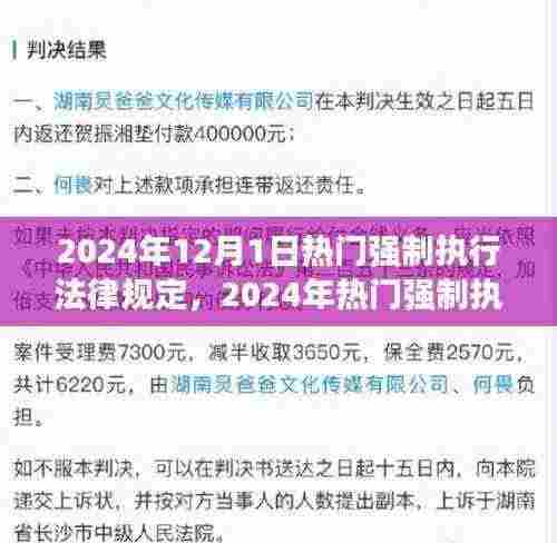 2024年强制执行法律规定的深度分析与影响探讨