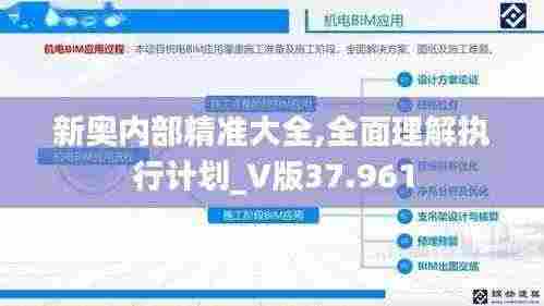 新奥内部精准大全,全面理解执行计划_V版37.961