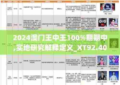 2024澳门王中王100%期期中,实地研究解释定义_XT92.403