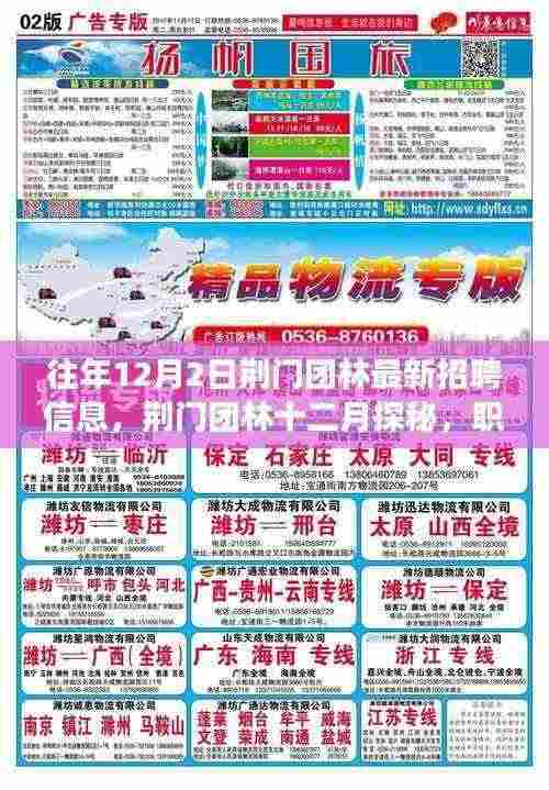 荆门团林最新招聘动态与职场自然融合之旅，十二月探秘之旅