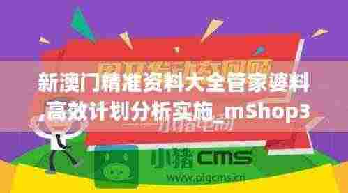 新澳门精准资料大全管家婆料,高效计划分析实施_mShop37.528-8