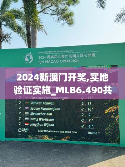2024新澳门开奖,实地验证实施_MLB6.490共鸣版