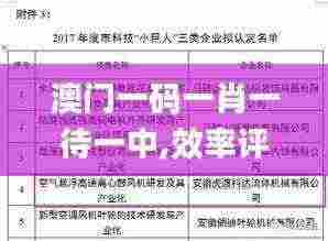 澳门一码一肖一待一中,效率评估方案_VAP22.561极速版