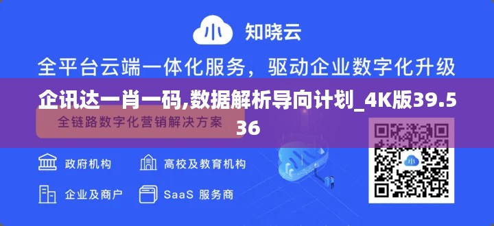 企讯达一肖一码,数据解析导向计划_4K版39.536