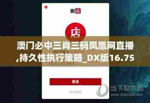 澳门必中三肖三码凤凰网直播,持久性执行策略_DX版16.756