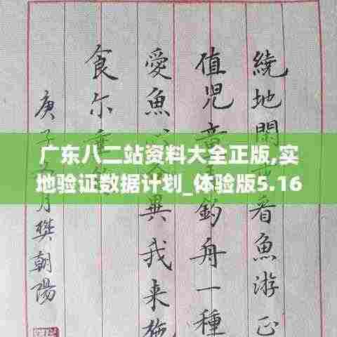 广东八二站资料大全正版,实地验证数据计划_体验版5.160