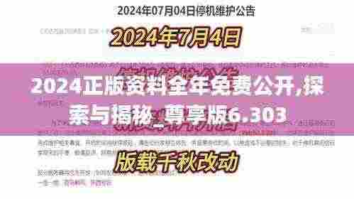 2024正版资料全年免费公开,探索与揭秘_尊享版6.303