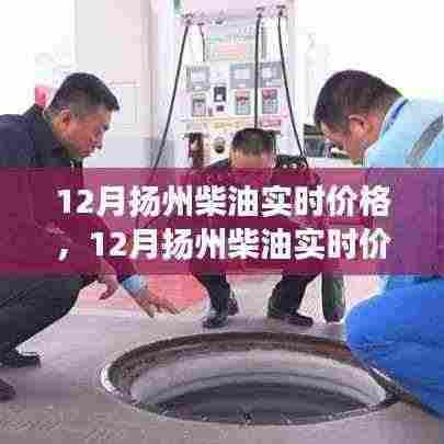 百鸟齐鸣 第4页