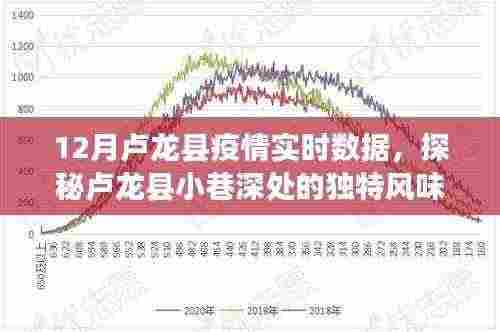 卢龙县疫情实时数据与小巷风情，小店故事与实时数据之旅