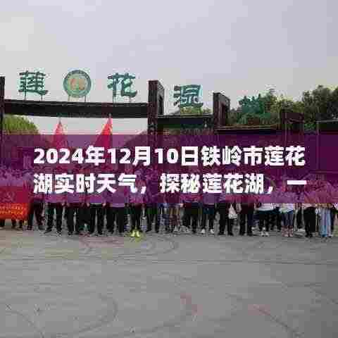 探秘莲花湖，铁岭之旅的温暖启程与实时天气播报，一场与自然的深情约会（XXXX年铁岭莲花湖之旅）