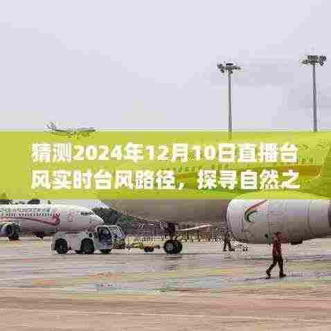 探寻自然之美，直播台风路径的心灵之旅 —— 预测台风动态，体验台风天直播实况