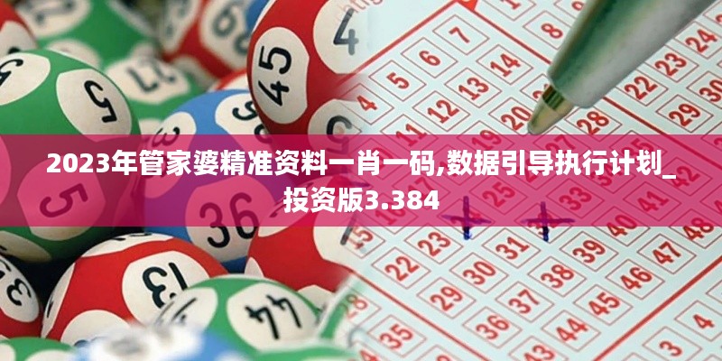 2023年管家婆精准资料一肖一码,数据引导执行计划_投资版3.384
