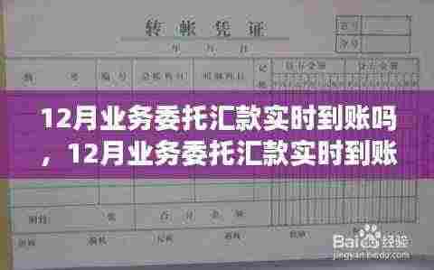 12月业务委托汇款实时到账，启程自然美景探索的金融桥梁