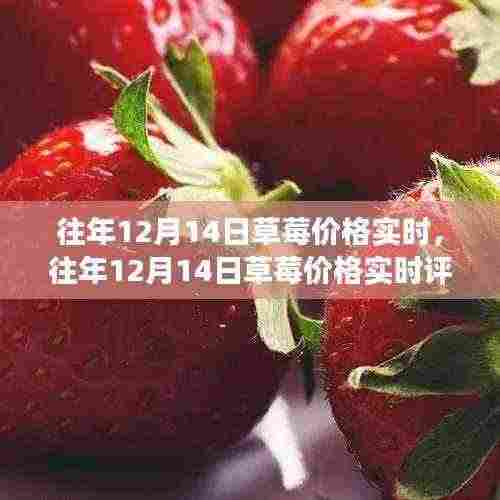 往年12月14日草莓价格实时分析，品质、体验、竞争及用户洞察综述