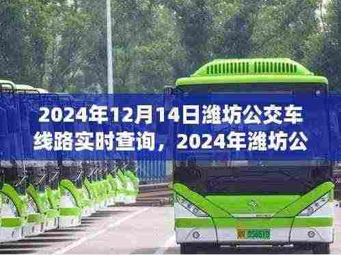 2024年潍坊公交车实时查询系统，线路全览与便捷出行