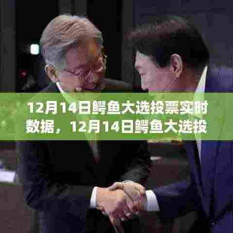 12月14日鳄鱼大选投票实时数据解析，洞悉选举动态，预测未来趋势